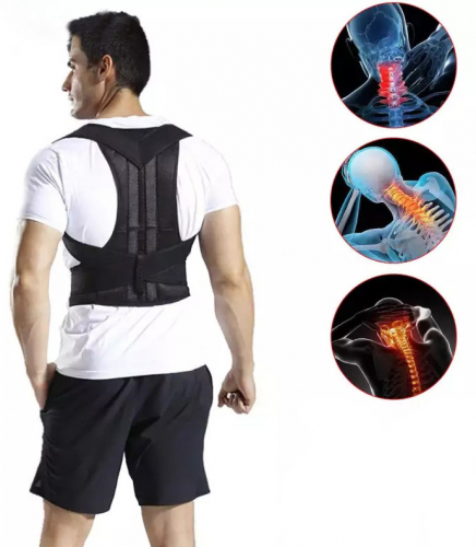Royal Posture Back Support Brace